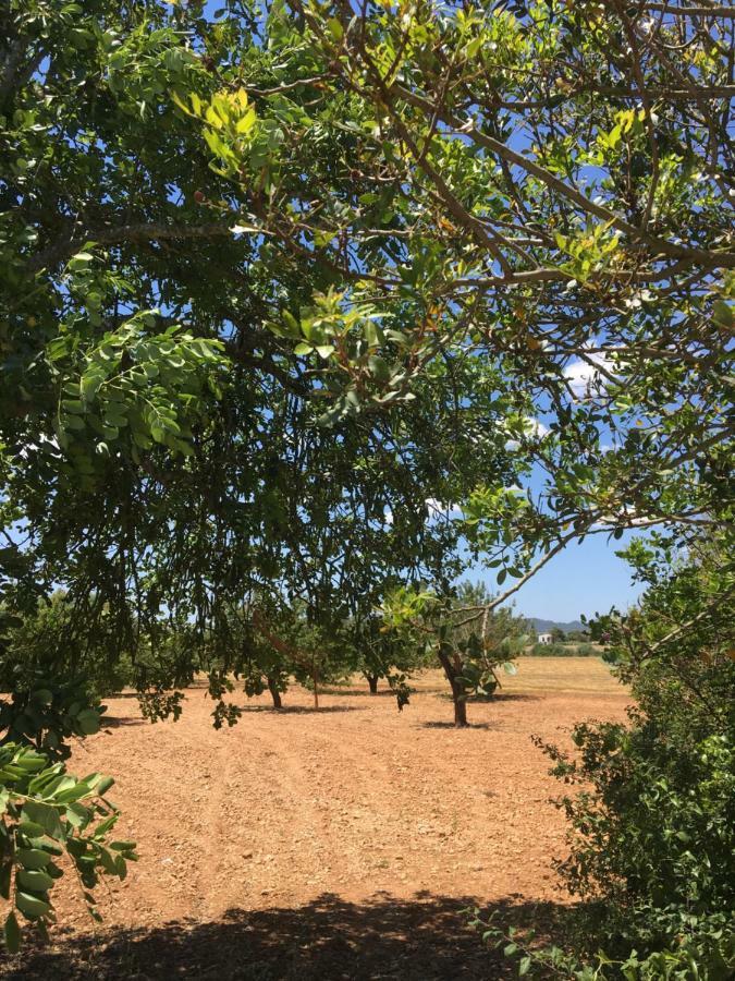 فيلا Finca Es Vinyet بوريريس المظهر الخارجي الصورة